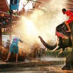 Easter bunny celebrate Songkran water festival in Thailand