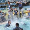 John McCain blasts LA Dodgers pool celebration in tweet