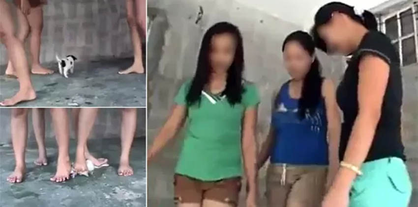 Philippines: 3 girls crush wailing puppy to death viral video Philippines: 3 girls crush wailing puppy to death viral video