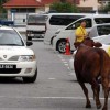 Singaporean tourists attacked by rampaging bull in Ipoh, Malaysia