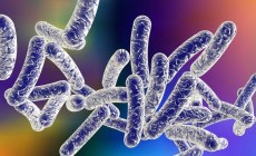 NEW YORK CITY: Deadly outbreak of Legionnaires’ disease