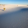 French couple dead in New Mexico desert