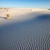 French couple dead in New Mexico desert