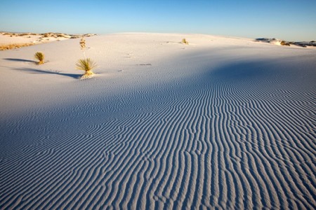 French couple dead in New Mexico desert