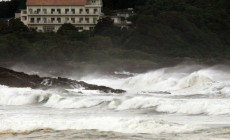 Japan Typhoon: Thousands of tuna killed