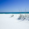 Panama City Beach Spring Break, News Travel Outlook