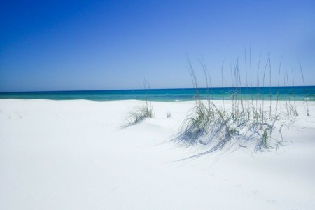 Panama City Beach Spring Break, News Travel Outlook