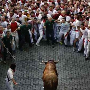 Spain Bull Run 2015, injures Australian