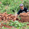 Thailand drought, still water shortage