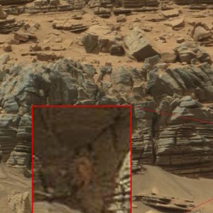 Crab like strange thing seen on planet Mars